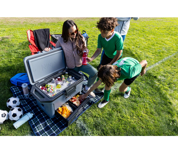 Ninja Cooler przenośny FrostVault szary 47L FB151EUGY - 1286342 - zdjęcie 20